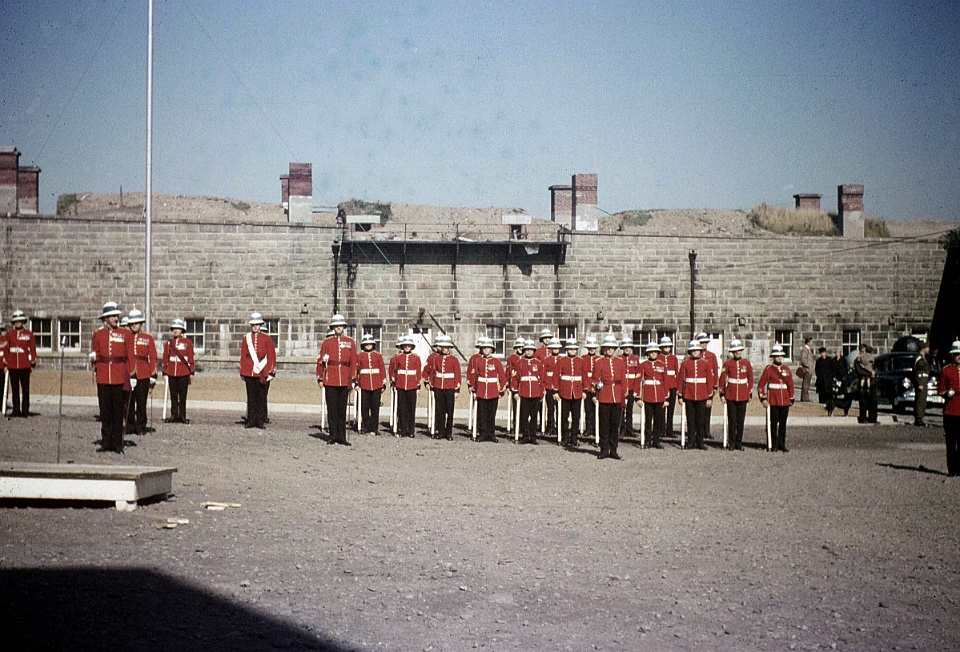 PLF208