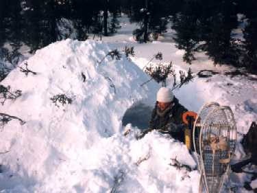 WO Pyle Digs In